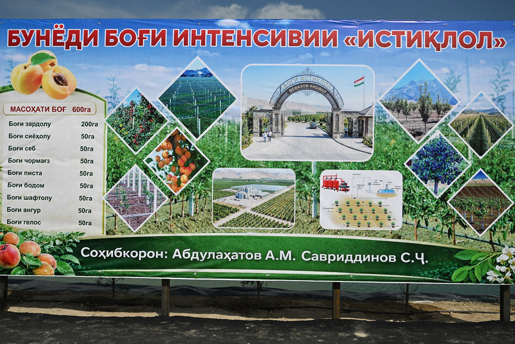 55179105778_2b487f8a1a_b