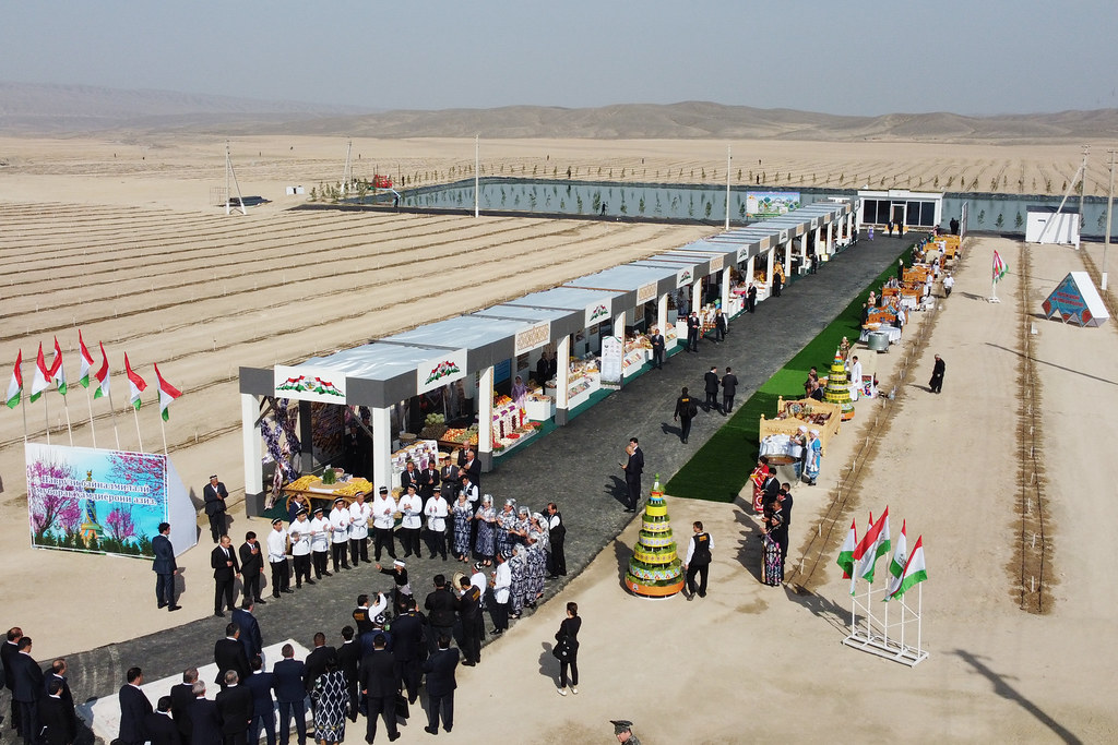 55179175609_73280b855e_b